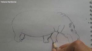 Как нарисовать бегемота?// Рисование бегемота// Татьяна Раритьевна