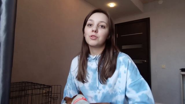 Я завела собаку | Джек Рассел Терьер - Пулька смотреть онлайн