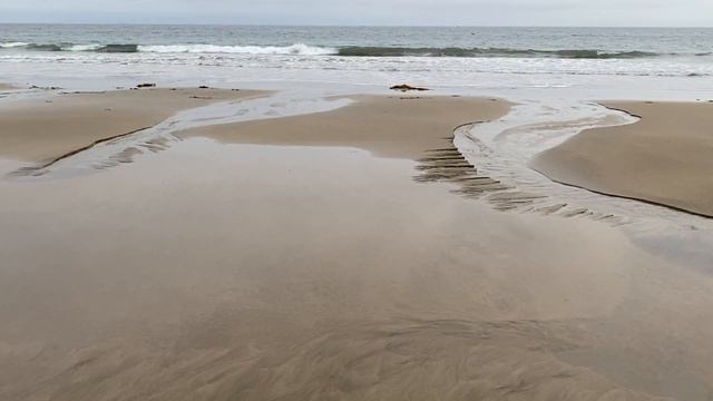 How to Sight Fish Corbina in SoCal Surf [Bait, Rig, Structure] смотреть онлайн