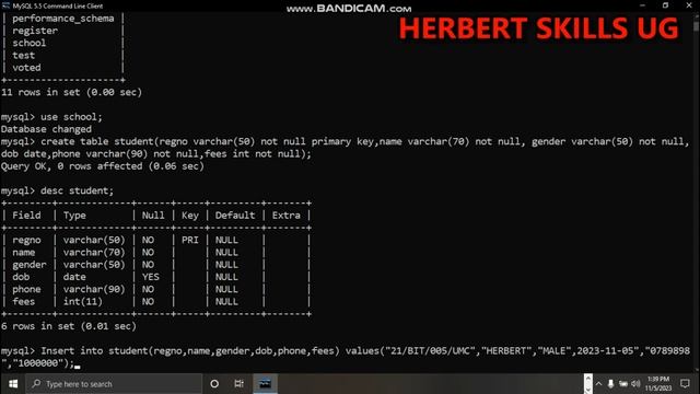 How to create table, insert, delete and update data In MySQL command line for beginners смотреть онлайн