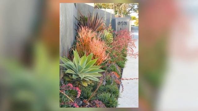 50 Amazing Drought Tolerant Landscaping Ideas That You Have to Know !!! смотреть онлайн