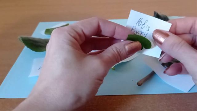 Мои новинки в декабре!!! Встречайте!!! смотреть онлайн