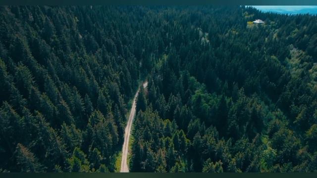 Откуда столько наглости у людей