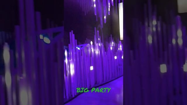World Expo 2021@ short video #dubai смотреть онлайн