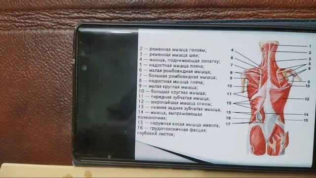 Боль В Груди И Плече, Массаж И Упражнения смотреть онлайн