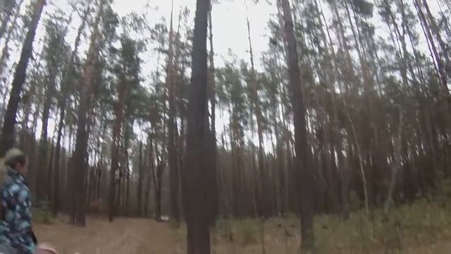 Гуси гуси , га га га. Жолдаки Таня, Деник, Лес, грибы, шишки Бег LETS GO смотреть онлайн