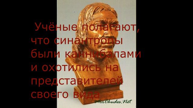 пекинский человек или синантроп смотреть онлайн