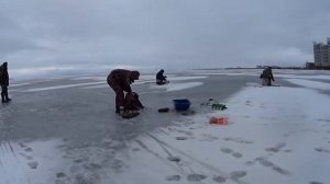 Петербург / Ловля лещей, подлещиков и чехони на льду! Финский залив 21 марта 2021 г. Питер / Рыбалк