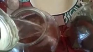 Приготовление раствора для чайного гриба.