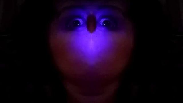 Me Shapeshifting on camera, lol смотреть онлайн