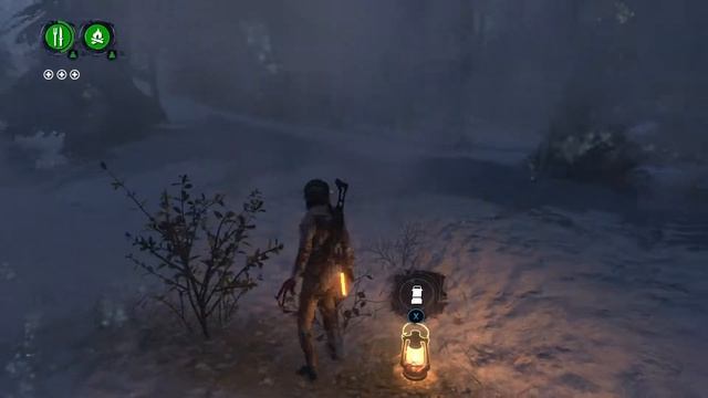 Rise of the Tomb Raider - Endurance в кооперативе смотреть онлайн