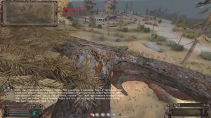 Тайна Соснодуба на Затоне ОП  2 1