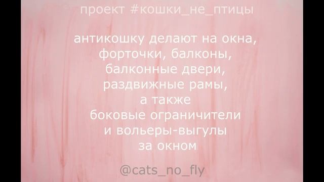 Что такое антикошка? смотреть онлайн