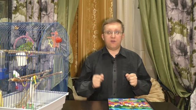 #031. Кто такой веб-дизайнер? Чем он занимается? смотреть онлайн