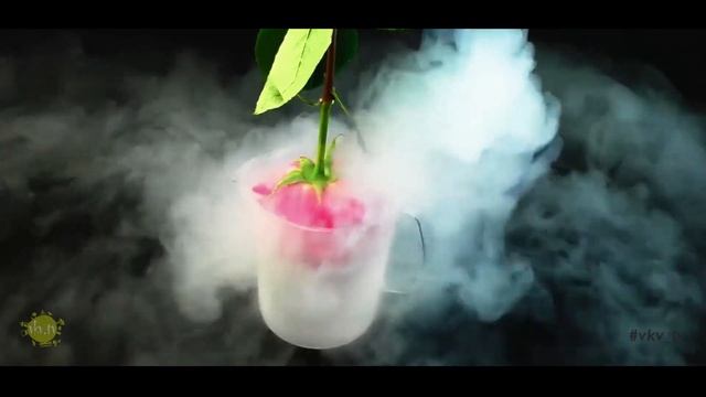 Как удалить папилломы жидким азотом? Криодеструкция. #vkv tv смотреть онлайн