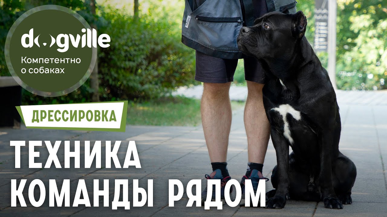 Команда «Рядом» — Техника выполнения смотреть онлайн