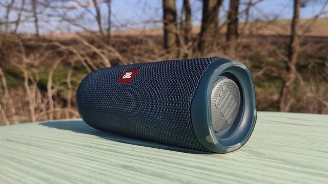 JBL FLIP 5 GG OCEAN BLUE - BASS TEST (100% Volume) смотреть онлайн