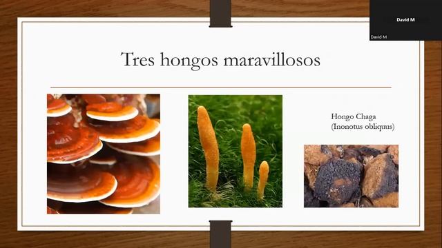 Balancer Coffee Cafe con Ganoderma, Chaga, Cordyceps смотреть онлайн