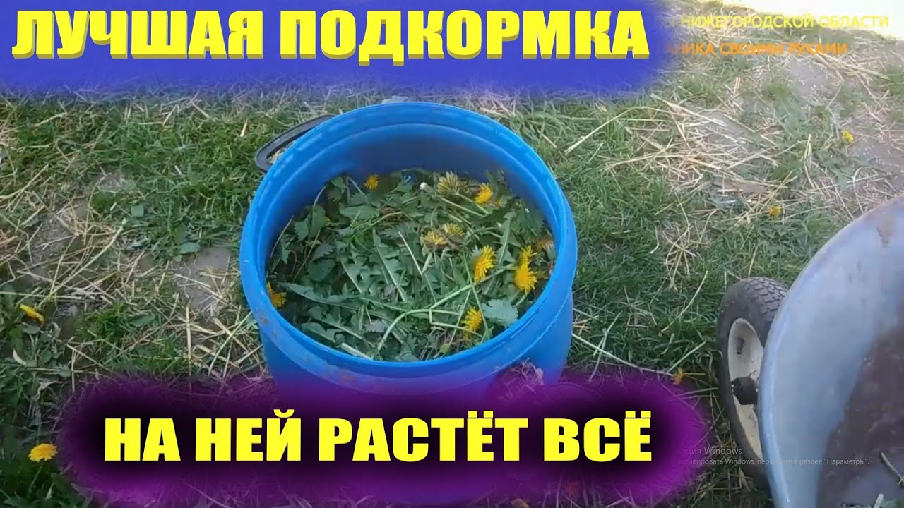 Травяной настой для подкормки.Зеленое удобрение смотреть онлайн