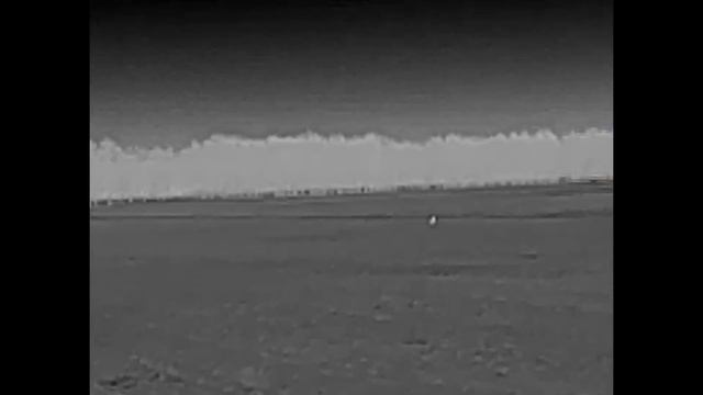 Тепловизор IRay XEye E3W -- ОТ МЫШКИ ДО САМОЛЁТА --видео №4 ЗАЙЦЫ В ПОЛЕ.