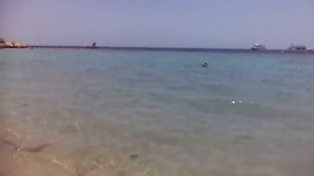 CORAL HILLS RESORT 4*. CORAL BEACH AL FANAR. смотреть онлайн