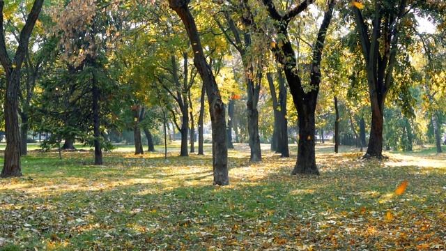 Пошаговая формула визуализации денег смотреть онлайн