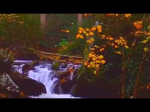 Твоя любовь всегда со мной