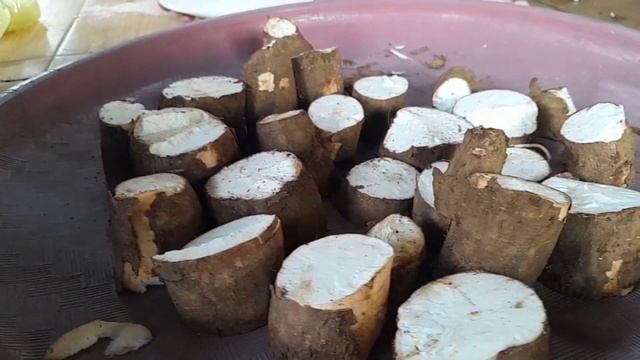 KELOMPOK BIOTEKNOLOGI BIKIN TAPE SINGKONG ? | SMAN 2 CIREBON смотреть онлайн