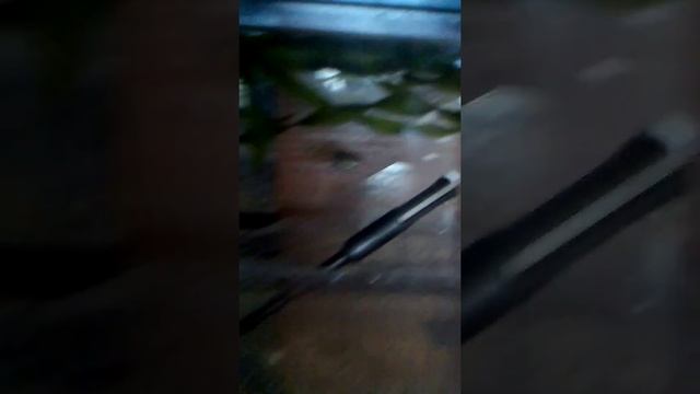 Гуппи беременная часть1 смотреть онлайн