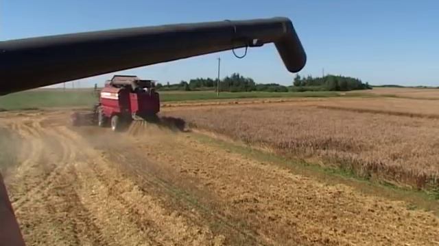 Гомсельмаш палессе комбайн МБ Инжиниринг ХХК. Утас:11-322728 смотреть онлайн