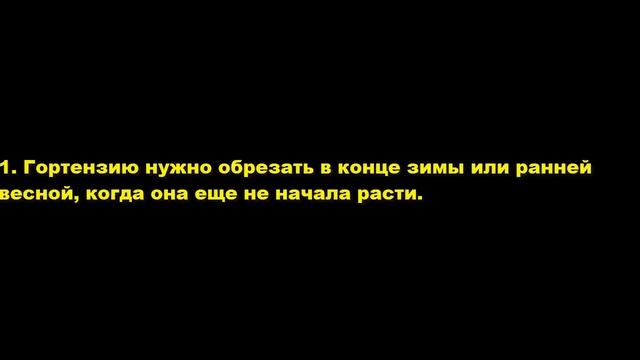 КАК обрезать гортензию (инструкция, фото, видео). Осенняя, весенняя обрезка. Как обрезать по типам смотреть онлайн