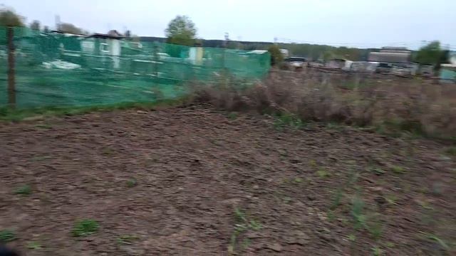 Ещё один огород.Брать или не брать? Нашелся георгин. смотреть онлайн