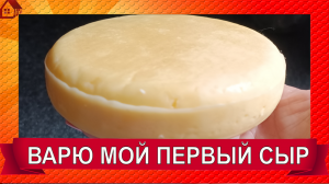 Мой первый СЫР сычужный полутвердый/ Дневник сыровара