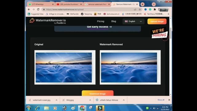 Remove Watermark From Images without Photoshop | Best AI Watermark Remover Website смотреть онлайн