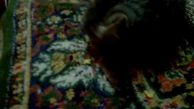 Спуск Герцена( Автомойка) смотреть онлайн