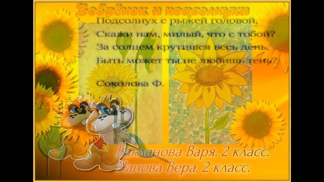 Бобрёнок и подсолнухи. Выставка "Солнышко на ножке". смотреть онлайн