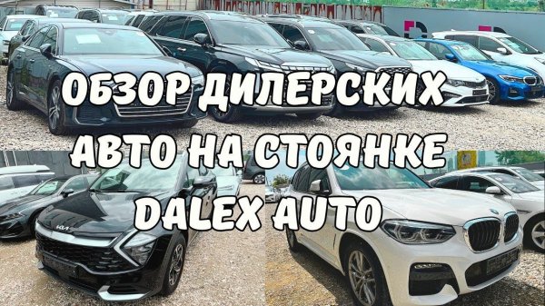 Авто из Кореи. Какие авто выкупаем? Обзор со стоянки DALEX AUTO