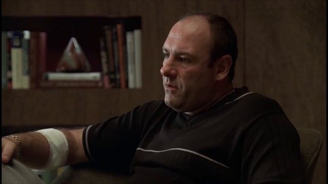 Правдивый перевод сериала "Клан Сопрано" смотреть онлайн