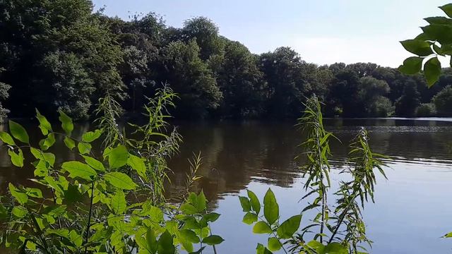перемещался до дикого пляжа Русалка, по пути заснял это озеро смотреть онлайн