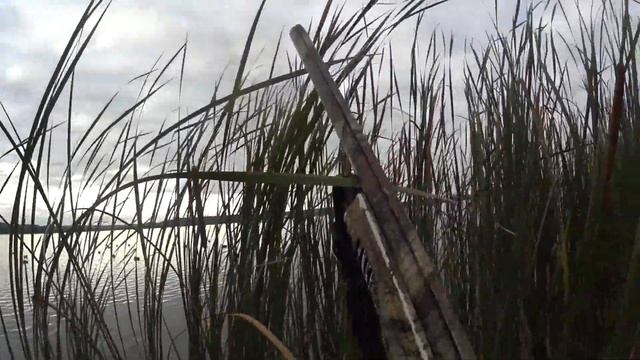 №58 Охота на утку с чучелами + Итоги конкурса смотреть онлайн