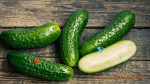 Огурец обыкновенный Либелле F1 (libelle f1) ? Либелле F1 обзор: как сажать, семена огурца Либелле F