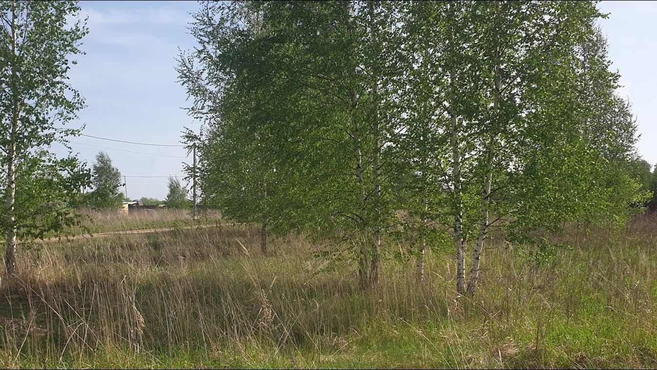 Участок №19 - 16.8 соток - 459 000 ₽ в Деревне Аббакумово по Горьковскому шоссе 120 км