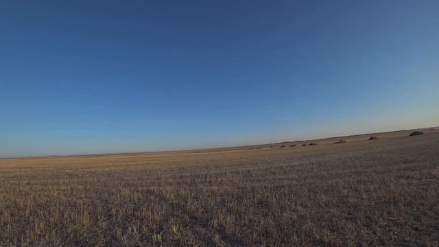 Весеннее открытие охоты на селезня с подсадной уткой 2022. Новосибирская область. смотреть онлайн