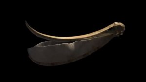 202 Птерозавры. Крылатые монстры.