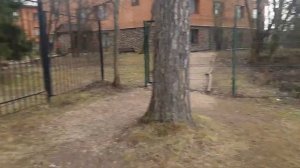 Отели Подмосковье Всё Включено. Завтрак Шведский стол в Спа Отеле Солнечный