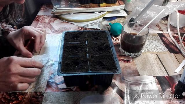 Продолжаю высаживать баклажаны / Жизнь в селе. смотреть онлайн