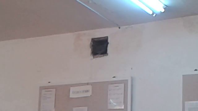 ДИКАЯ ПТИЦА ЗАЛЕТЕЛА НА ПАРУ смотреть онлайн