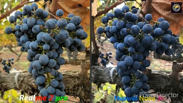 Realme 2 pro vs Huawei Nova 3i Camera Comparison by smartphone therapy смотреть онлайн