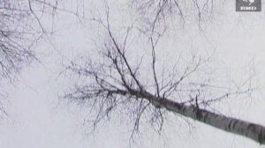 Служу Отчизне 08.05.2005