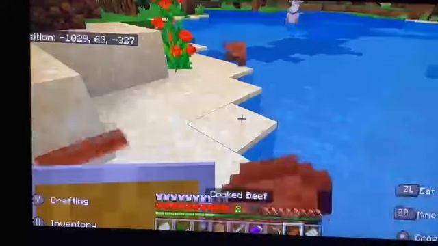 Minecraft Hardcore: Part 5: New Home New Me! (ft. SuperPikminGamer) смотреть онлайн